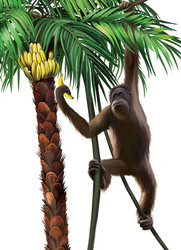 Similar image 2186601