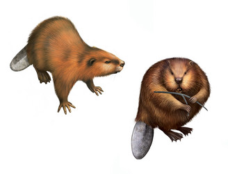 Similar image 2186741