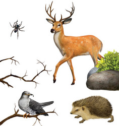 Similar image 2186745