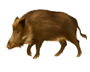 Similar image 2186747