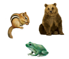 Similar image 2186751