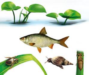 Similar image 2186757