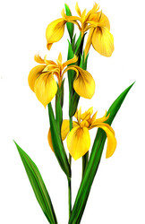 Similar image 2186756