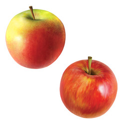 Similar image 2186766