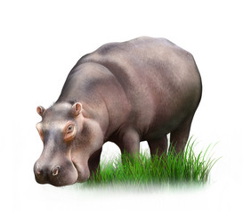 Similar image 2186775