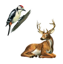 Similar image 2186780