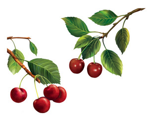 Similar image 2186798