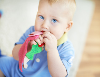 Similar image 2187271