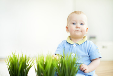 Similar image 2187286