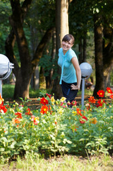 Similar image 2187566