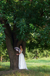 Similar image 2187679