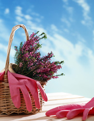 Similar image 2188365