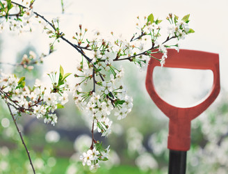 Similar image 2188374