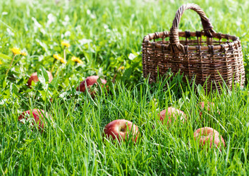 Similar image 2188376