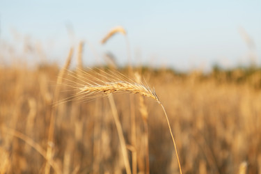 Similar image 2188608