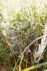 Similar image 2188610