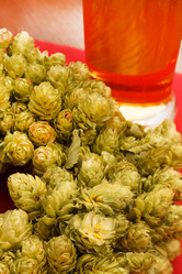 Similar image 2188686