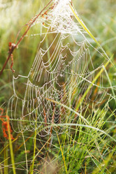 Similar image 2188717