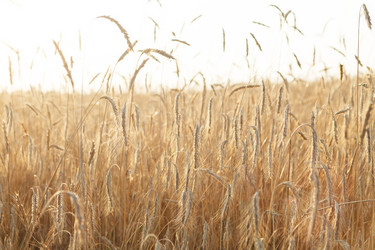 Similar image 2188743