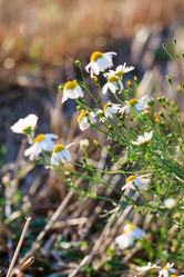 Similar image 2188756