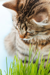 Similar image 2188757