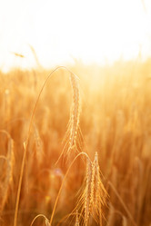 Similar image 2188769