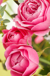 Similar image 2188773