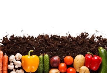 Similar image 2188802