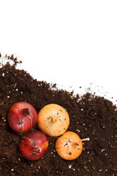 Similar image 2188806