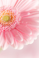 Similar image 2188876