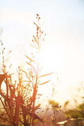 Similar image 2188877