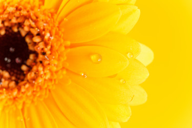 Similar image 2188889