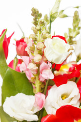 Similar image 2188896