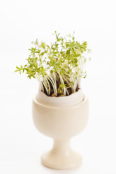 Similar image 2188940