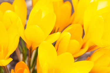 Similar image 2188968