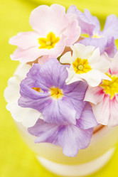 Similar image 2189023