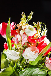 Similar image 2189024