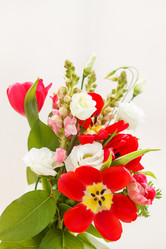 Similar image 2189036