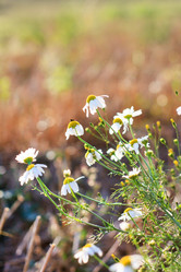 Similar image 2189037