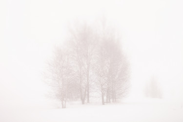 Similar image 2189044