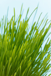 Similar image 2189049