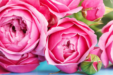 Similar image 2189063