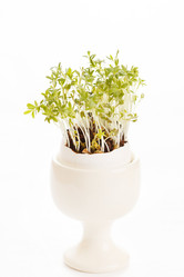 Similar image 2189129