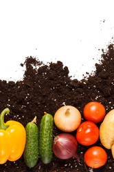 Similar image 2189148