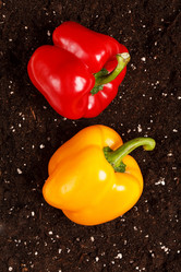 Similar image 2189152