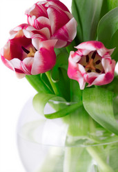 Similar image 2189220