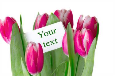 Similar image 2189224