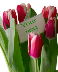 Similar image 2189226