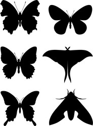 Similar image 2189272