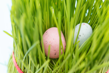 Similar image 2189386